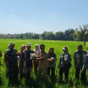 Babinsa Kuripan Utara Dampingi Gerdal Pupuk Hayati Petani