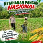 Polsek Soko Polresta Tuban Turun Langsung Cek Tanaman Jagung Warga