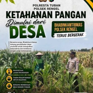 Polri Dukung Astacita, Polsek Rengel Polresta Tuban Turun Cek Tanaman Jagung Warga di Desa Sawahan