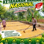 Polri Dukung Astacita, Polsek Semanding Polresta Tuban Turun Cek Tanaman jagung milik Warga di Desa Prunggahan kulon