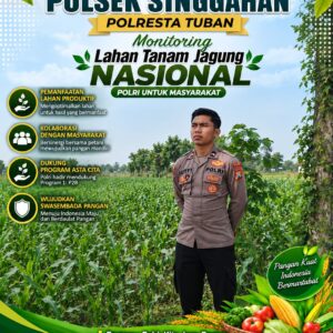 Anggota Polsek Singgahan Polresta Tuban Turun Cek Tanaman jagung Warga di Desa Mulyorejo