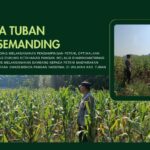 Polri Dukung Astacita, Polsek Semanding Polresta Tuban Turun Cek Tanaman jagung milik Warga di Desa Ngino