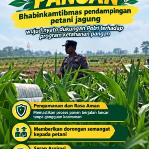 Mendukung Program Ketahanan Pangan, Bhabinkamtibmas Monitoring Pertumbuhan Jagung