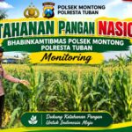 Polsek Montong Polresta Tuban Turun Cek Tanaman jagung Warga di Desa Pakel