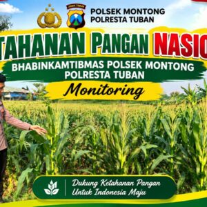 Polsek Montong Polresta Tuban Turun Cek Tanaman jagung Warga di Desa Pakel