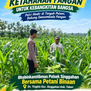 Anggota Polsek Singgahan Polresta Tuban Turun Cek Tanaman jagung Warga di Desa Tingkis