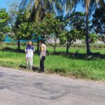 Dukung Ketahanan Pangan Nasional, Bhabinkamtibmas Desa Orong Bawa Sambangi Petani dan Cek Langsung Proses Panen