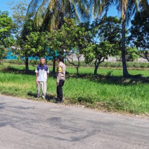 Dukung Ketahanan Pangan Nasional, Bhabinkamtibmas Desa Orong Bawa Sambangi Petani dan Cek Langsung Proses Panen