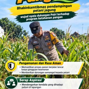 Mendukung Program Ketahanan Pangan, Bhabinkamtibmas Monitoring Pertumbuhan Jagung