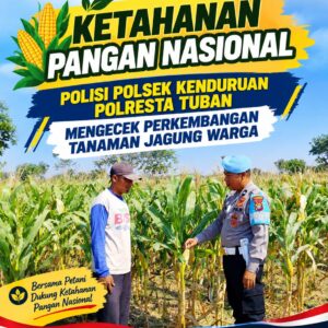 Dukung Astacita, Polmas Polsek Kenduruan Polresta Tuban Cek Perkembangan Tanaman Jagung Warga