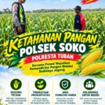 Polsek Soko Polresta Tuban Turun Langsung Cek Tanaman Jagung Warga