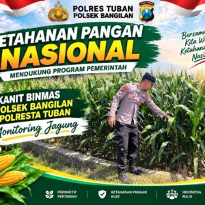 Dukung Ketahanan Pangan Nasional, Polsek Bangilan Monitoring Tanaman Jagung