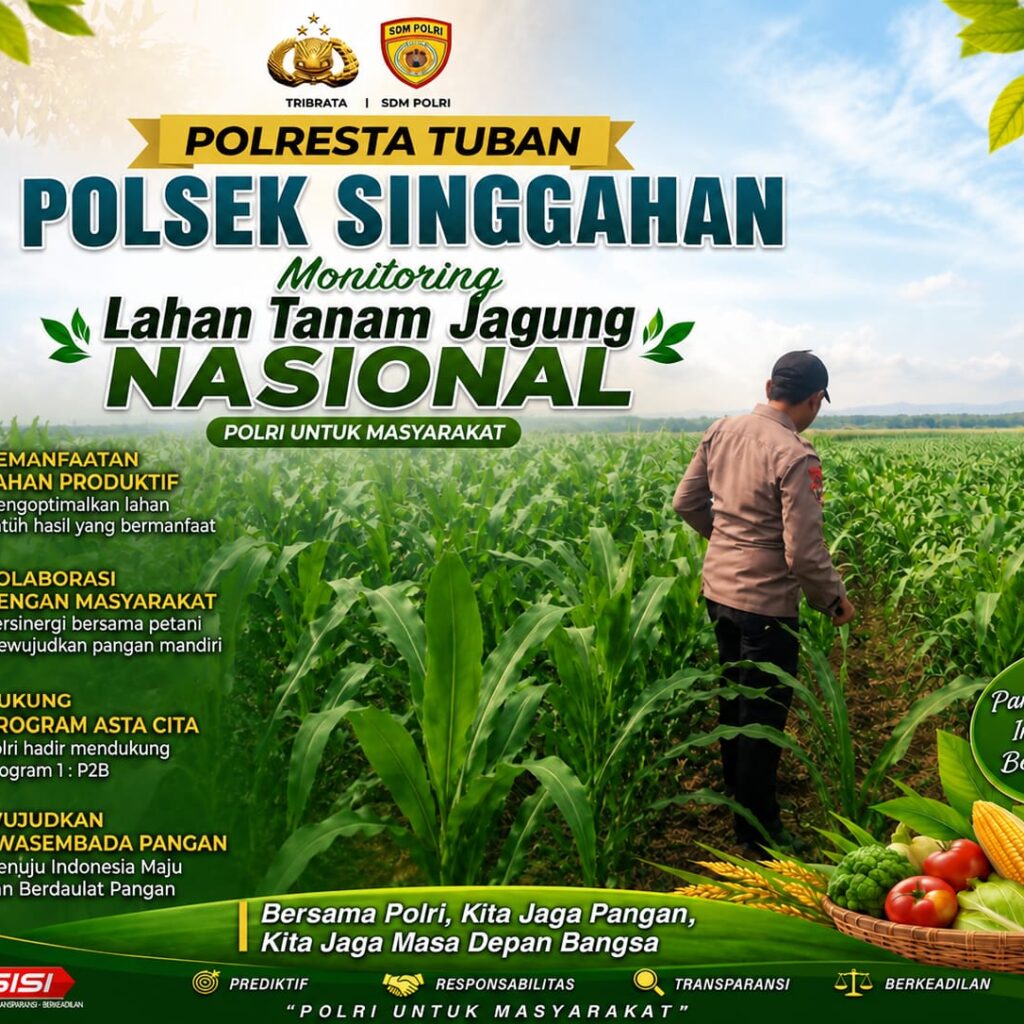 Anggota Polsek Singgahan Polresta Tuban Turun Cek Tanaman jagung Warga di Desa Lajo lor