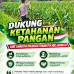 Dukung Astacita Swasembada Pangan, Polsek Jatirogo Pantau Lahan Jagung di Desa Jombok