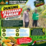 Dukung Astacita, Polsek Palang Polresta Tuban Pantau Langsung Lahan Jagung milik warga Desa Wangun