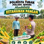 Anggota Bhabinkamtibmas Polsek Senori Polresta Tuban Turun ke Ladang Bantu Warga Desa Jatisari Panen Jagung
