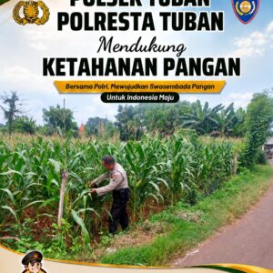 Polsek Tuban Pantau Lahan Jagung, Dukung Ketahanan Pangan Nasional