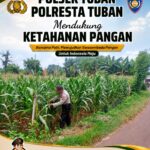 Polri Dukung Astacita, Polsek Merakurak Polres Tuban Turun Cek Tanaman Jagung Warga di Desa Tuwiri Wetan