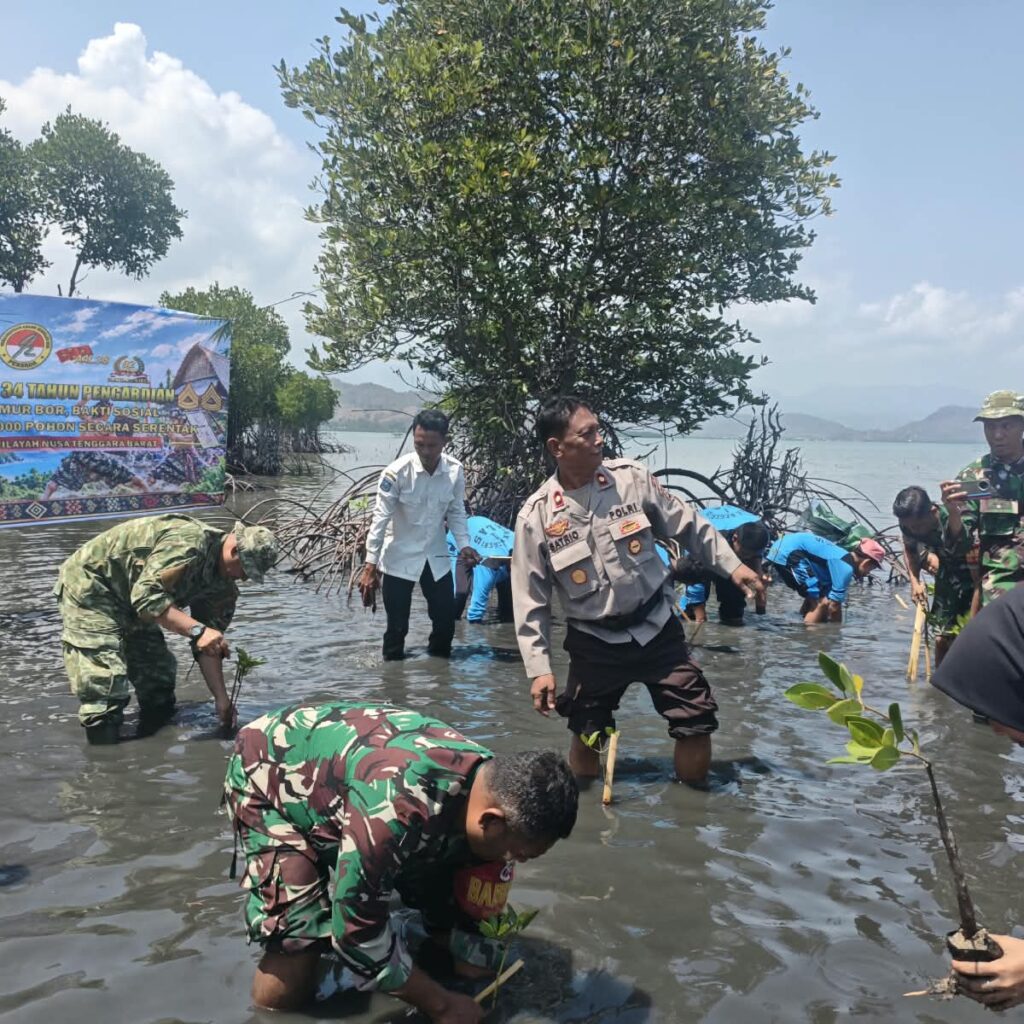 Sinergi TNI-Polri dan Pelajar Tanam Mangrove Serentak di Pulau Kaung, Cegah Abrasi Pesisir Pantai