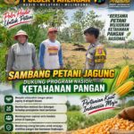 Anggota Polsek Parengan Sambang Petani Jagung, Dukung Program Nasional Ketahanan Pangan