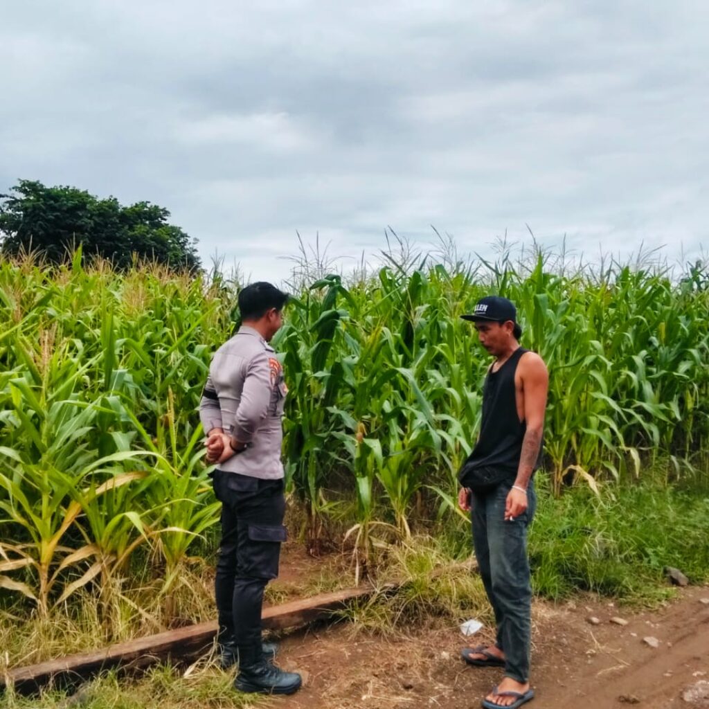 Dukung Ketahanan Pangan Nasional, Bhabinkamtibmas Desa Suka Mulya Sambangi Petani dan Motivasi Persiapan Tanam Jagung