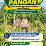 Mendukung Program Ketahanan Pangan, Bhabinkamtibmas Monitoring Pertumbuhan Jagung