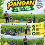 Polsek Soko Polresta Tuban Turun Langsung Cek Tanaman Jagung Warga