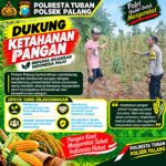 Dukung Astacita, Polsek Palang Polresta Tuban Pantau Langsung Lahan Jagung milik warga Desa Dawung