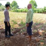 Dukung Asta Cita Presiden, Polsek Tambakboyo Dampingi Petani di Sawah Wujudkan Ketahanan Pangan