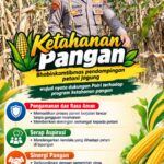 Mendukung Program Ketahanan Pangan, Bhabinkamtibmas Monitoring Pertumbuhan Jagung