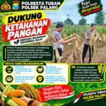 Dukung Astacita, Polsek Palang Polresta Tuban Pantau Langsung Lahan Jagung milik warga Desa Dawung