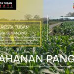 Polri Dukung Astacita, Polsek Semanding Polresta Tuban Turun Cek Tanaman jagung milik Warga di Desa Prunggahan Wetan