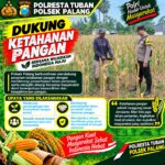Dukung Astacita, Polsek Palang Polresta Tuban Pantau Langsung Lahan Jagung milik warga Desa Tegalbang