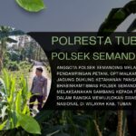 Polsek Kenduruan Polresta Tuban Dukung Ketahanan Pangan, Aipda Sumindar Cek Perkembangan Tanaman Jagung Warga .