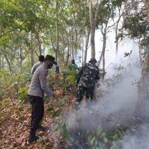 Polsek Sanggar Bersama TNI dan Balai TN Tambora Kembali Menggelar Patroli Gabungan di Kawasan Taman Nasional Tambora