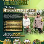 Polri Dukung Astacita, Polsek Rengel Polresta Tuban Turun Cek Tanaman Jagung Warga di Desa Sawahan