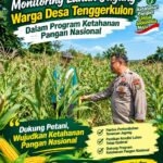Polsek Bancar Monitoring Lahan Jagung Warga Desa Tenggerkulon, Dukung Program Ketahanan Pangan Nasional*