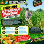 Dukung Astacita, Polsek Palang Polresta Tuban Pantau Langsung Lahan Jagung milik warga Desa Tasikmadu