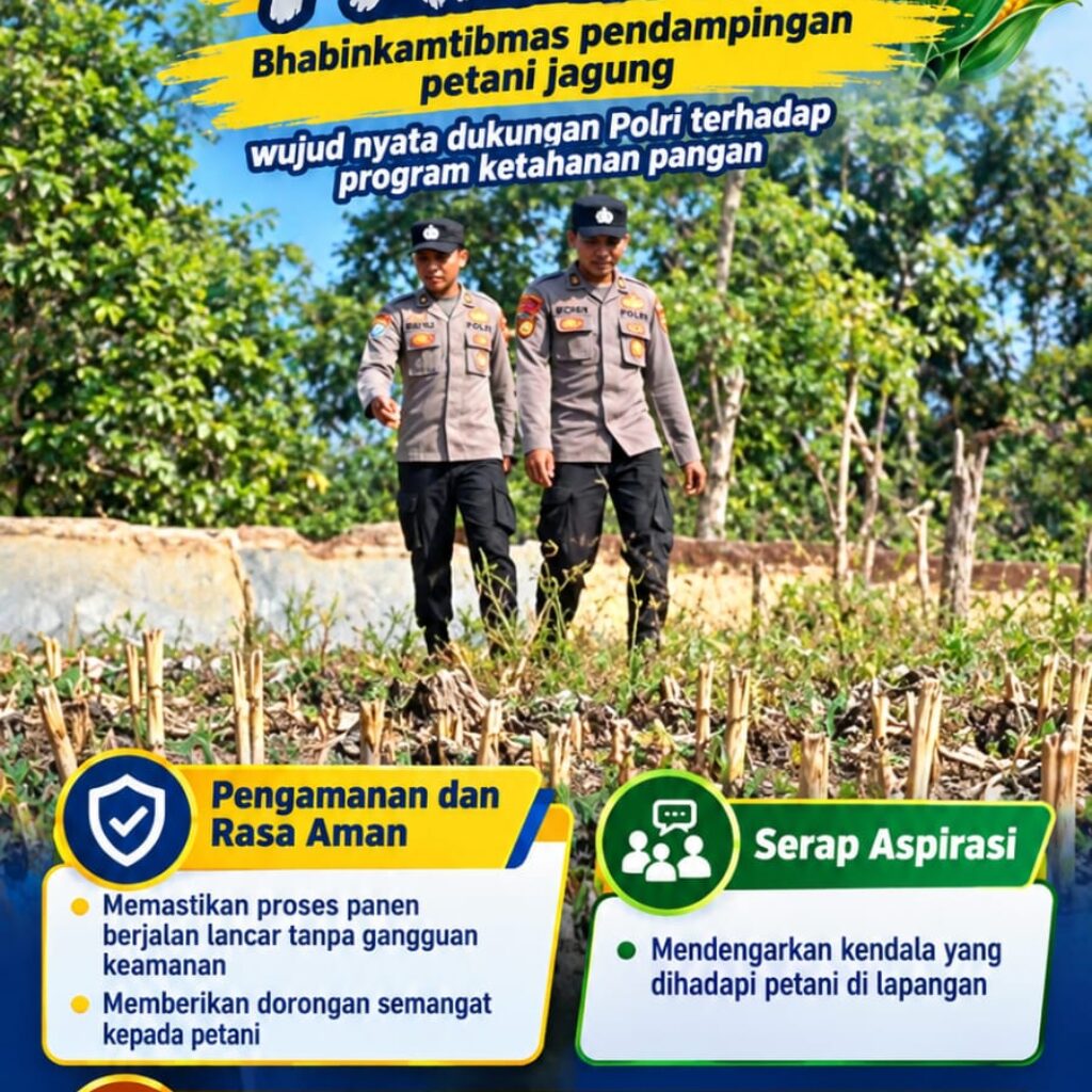 Mendukung Program Ketahanan Pangan, Bhabinkamtibmas Monitoring Pertumbuhan Jagung