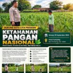 Polsek Plumpang Polresta Tuban Turun Langsung Cek Tanaman Jagung Warga