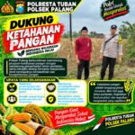 Dukung Astacita, Polsek Palang Polresta Tuban Pantau Langsung Lahan Jagung milik warga Desa Ngimbang
