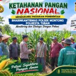 Mendukung Asta Cita Presiden bhabinkamtibmas Polsek Montong Polresta Tuban Pantau Kodisi Tanaman Jagung Milik Warga Desa pakel