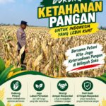 Polsek Soko Polresta Tuban Turun Langsung Cek Tanaman Jagung Warga