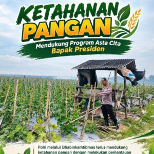 Dukung Ketahanan Pangan Nasional, Polsek Bangilan Monitoring Pertumbuhan Tanaman Jagung