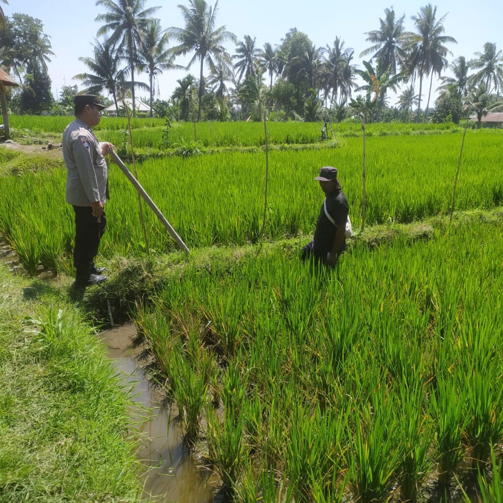Bhabinkamtibmas Lenek Pesiraman Sambangi Warga, Monitoring Ketahanan Pangan dan Imbau Jaga Kamtibmas