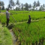 Bhabinkamtibmas Lenek Pesiraman Sambangi Warga, Monitoring Ketahanan Pangan dan Imbau Jaga Kamtibmas