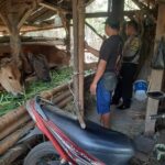 Jalin Silaturahmi dengan Warga, Aipda Abdul Ghani Sampaikan Imbauan Kamtibmas di Desa Timbanuh