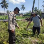 Dukung Swasembada Pangan, Bhabinkamtibmas Paokmotong Monitoring Lahan Pekarangan Pangan Bergizi