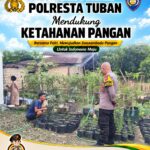 Polsek Tuban Dukung Ketahanan Pangan, Bhabinkamtibmas Pantau Pemanfaatan Lahan Pekarangan Warga