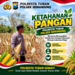 Polri Dukung Astacita, Polsek Semanding Polresta Tuban Turun Cek Tanaman jagung milik Warga di Desa Bektiharjo